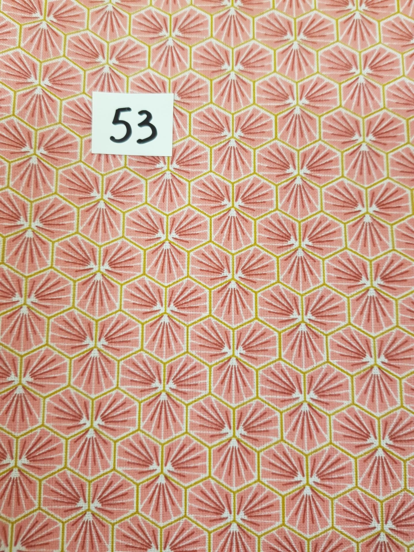 53 lingettes fleurs rose 54
