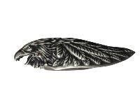 Couteau aigle