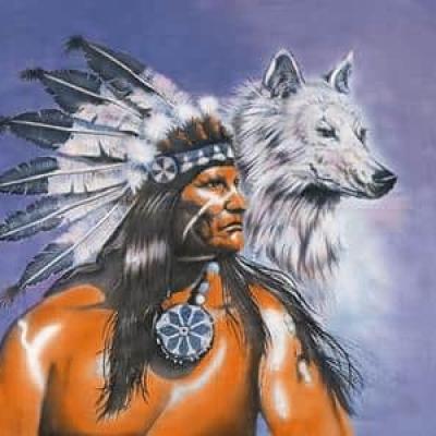 Drapeau Indien et Loup